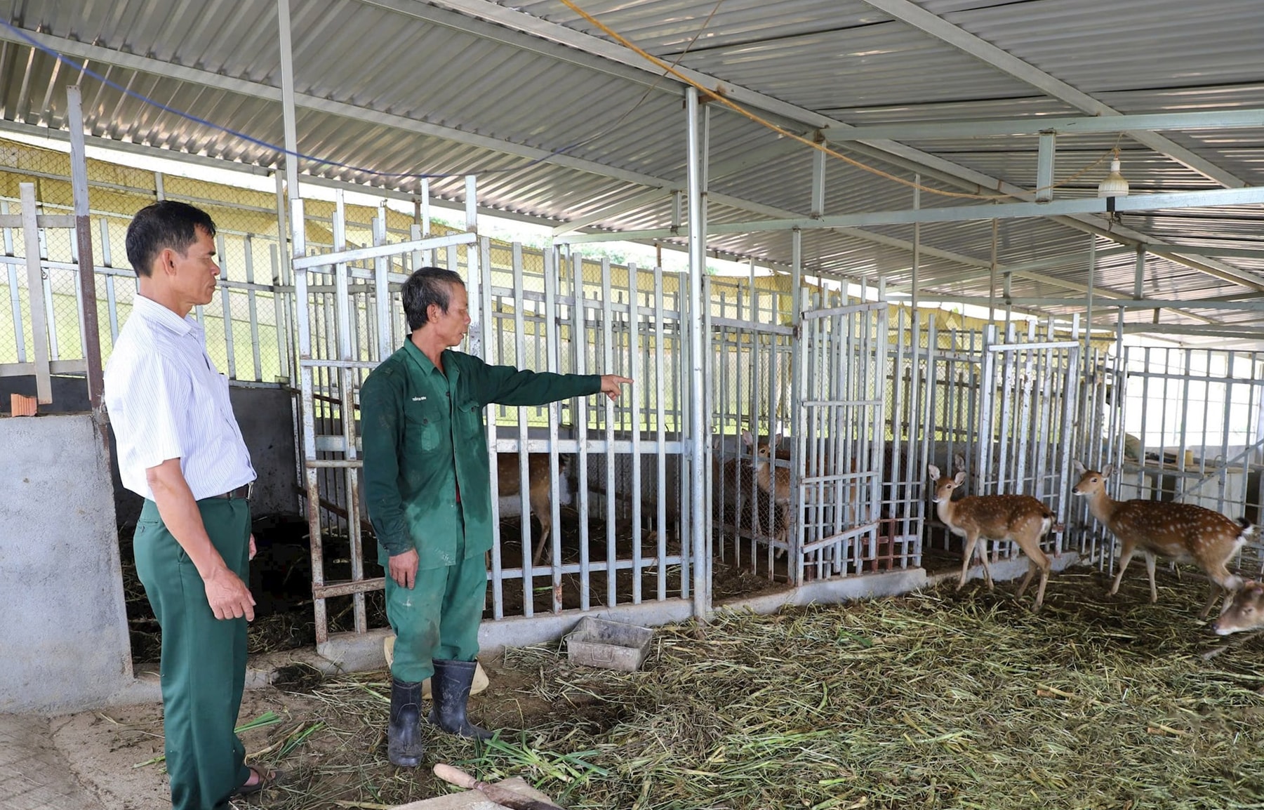 Lâm Ðồng chung tay giúp người nghèo vươn lên
