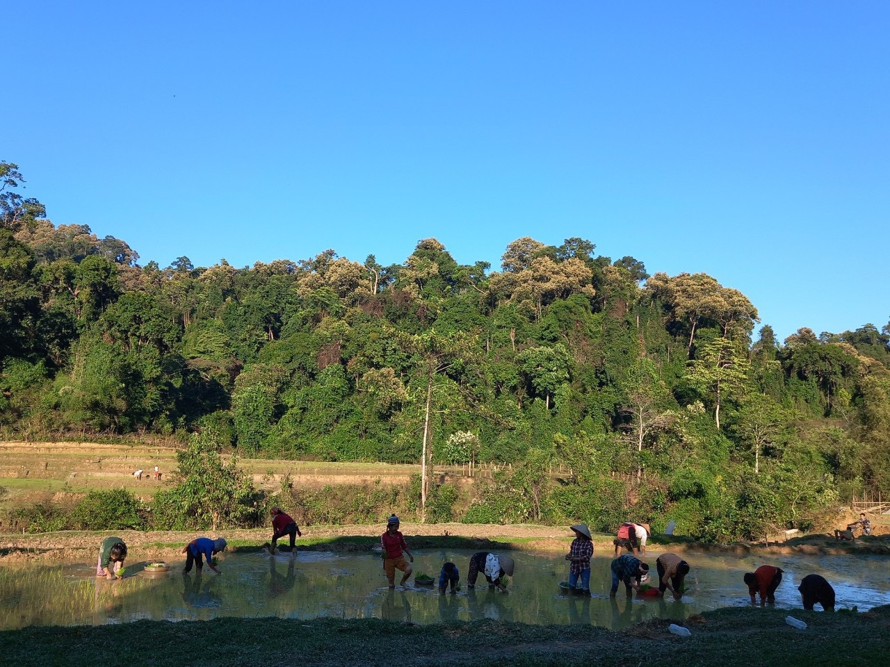 Trong gió mới Đan Lai