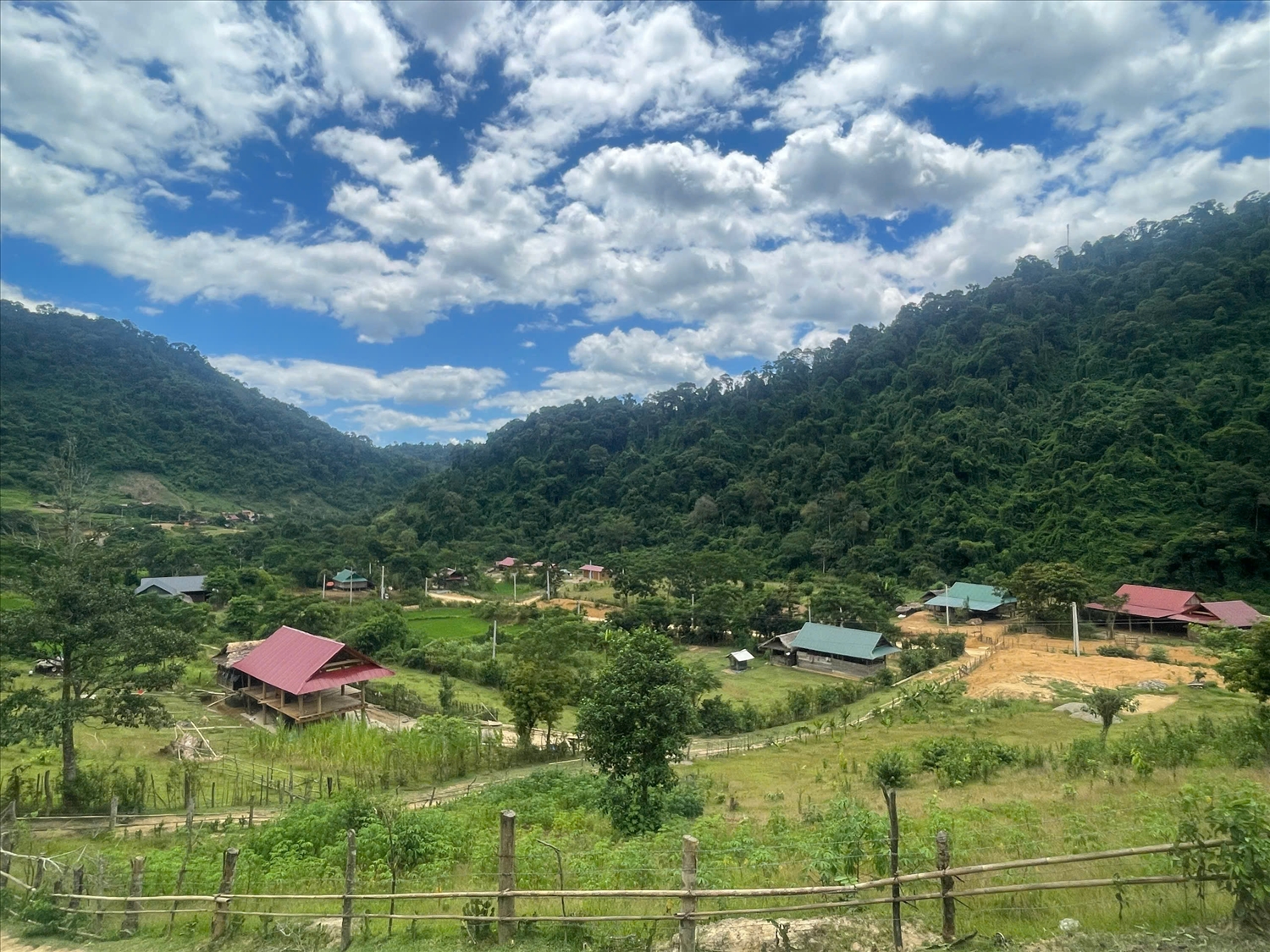 Trong gió mới Đan Lai