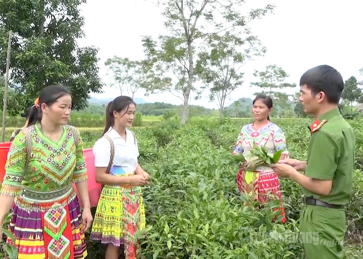 Tuyên Quang: Đồng bào tôn giáo hướng về Đại hội Đảng