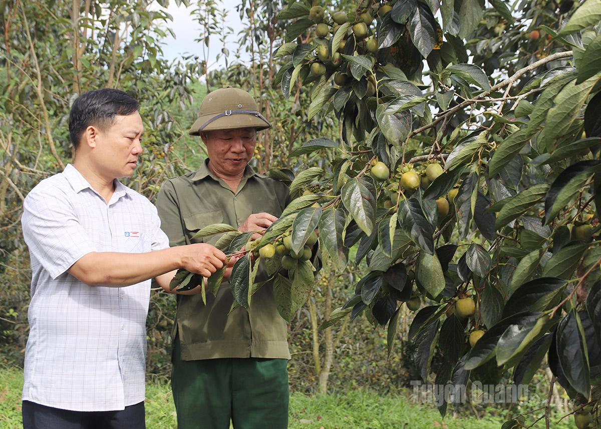 Tuyên Quang: Tinh hoa đất trời Xuân Vân
