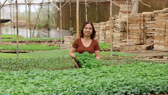 Lâm Đồng: Nữ cán bộ hội phụ nữ giỏi việc nước, đảm việc nhà