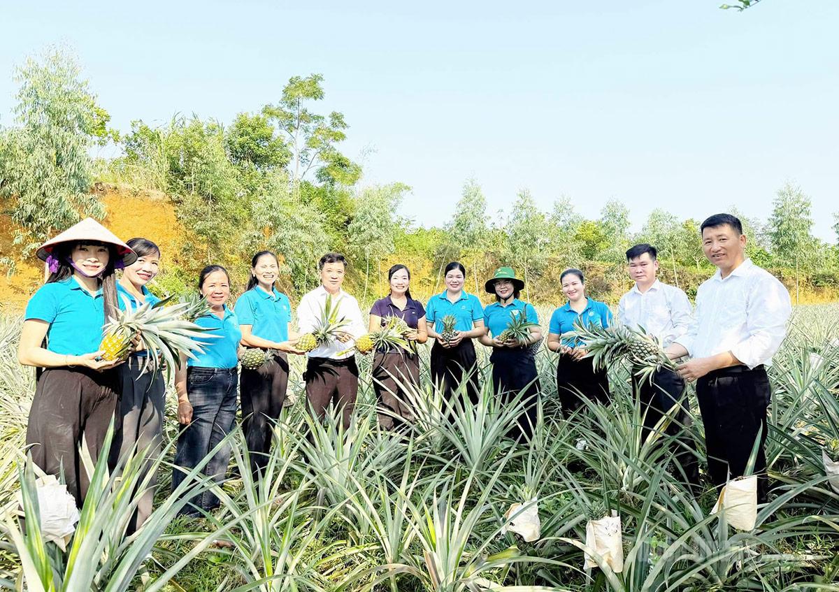 Cán bộ, hội viên Hội LHPN xã Sơn Thủy tham quan, học tập kinh nghiệm mô hình trồng dứa hiệu quả tại thôn Làng Thiện.