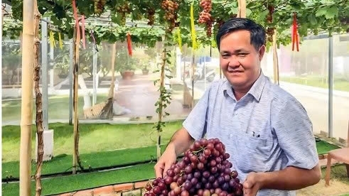 Cần Thơ: Thi đua sản xuất, kinh doanh giỏi