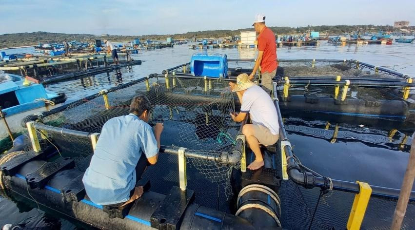 Lâm Đồng: “Áo giáp” mới cho nghề nuôi biển Lâm Đồng: “Áo giáp” mới cho nghề nuôi biển