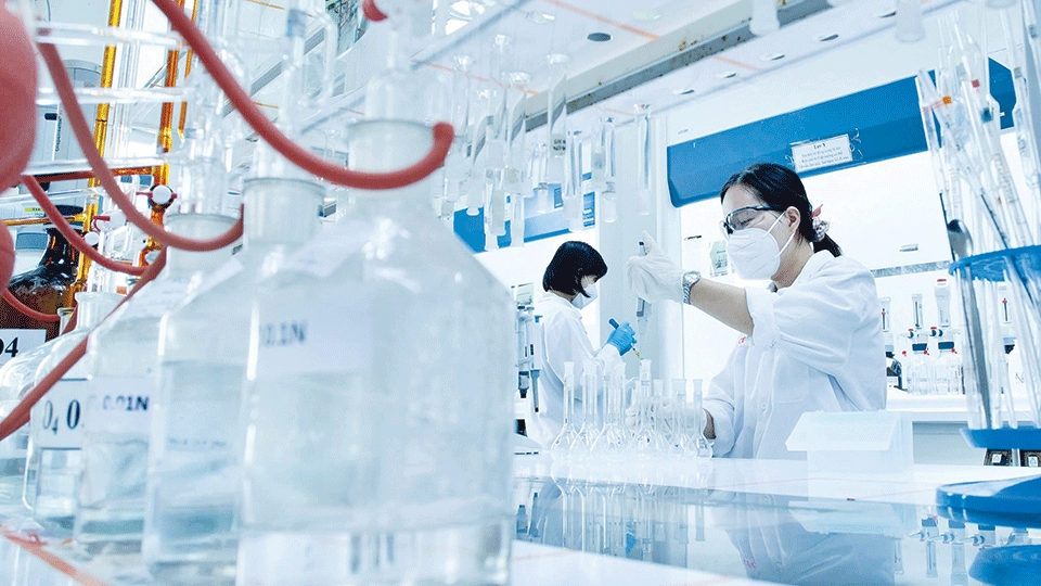PVCFC mở rộng chuỗi giá trị