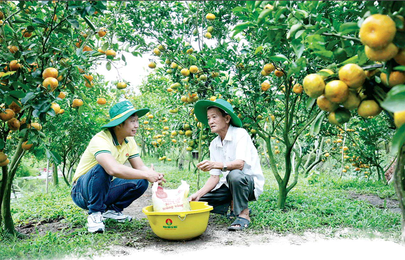 PVCFC mở rộng chuỗi giá trị
