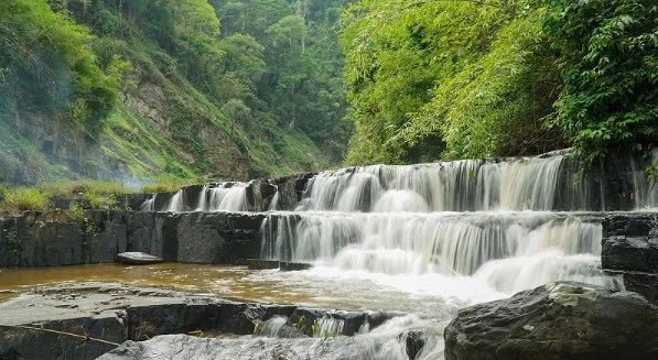 Lâm Đồng: Đánh thức những miền xanh