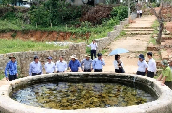Lâm Đồng: Đánh thức những miền xanh