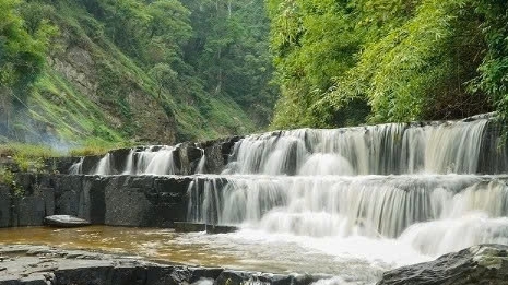 Lâm Đồng: Đánh thức những miền xanh
