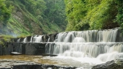 Lâm Đồng: Đánh thức những miền xanh
