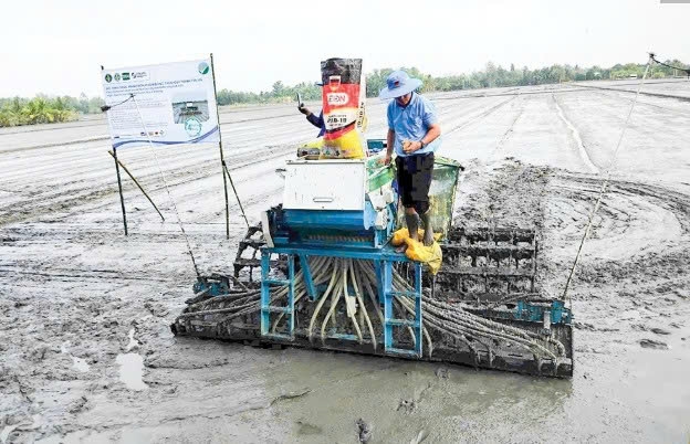 Cần Thơ: Nhân rộng mô hình hiệu quả từ Đề án 1 triệu héc-ta lúa