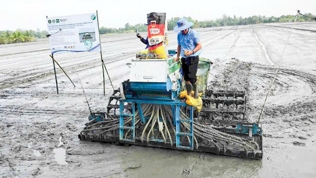 Cần Thơ: Nhân rộng mô hình hiệu quả từ Đề án 1 triệu héc-ta lúa