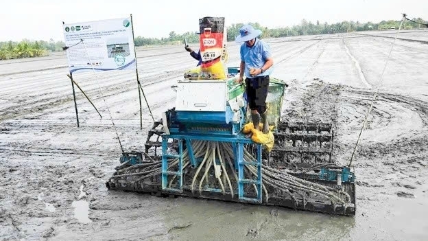 Cần Thơ: Nhân rộng mô hình hiệu quả từ Đề án 1 triệu héc-ta lúa