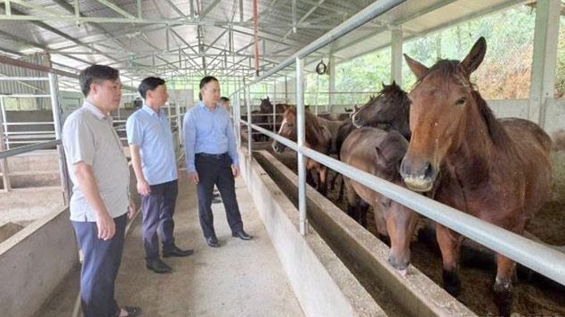 Tuyên Quang: Bắc Quang đánh thức lợi thế để giảm nghèo