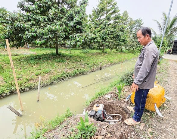 Cần Thơ: Chủ động bảo vệ vườn cây ăn trái mùa mưa lũ