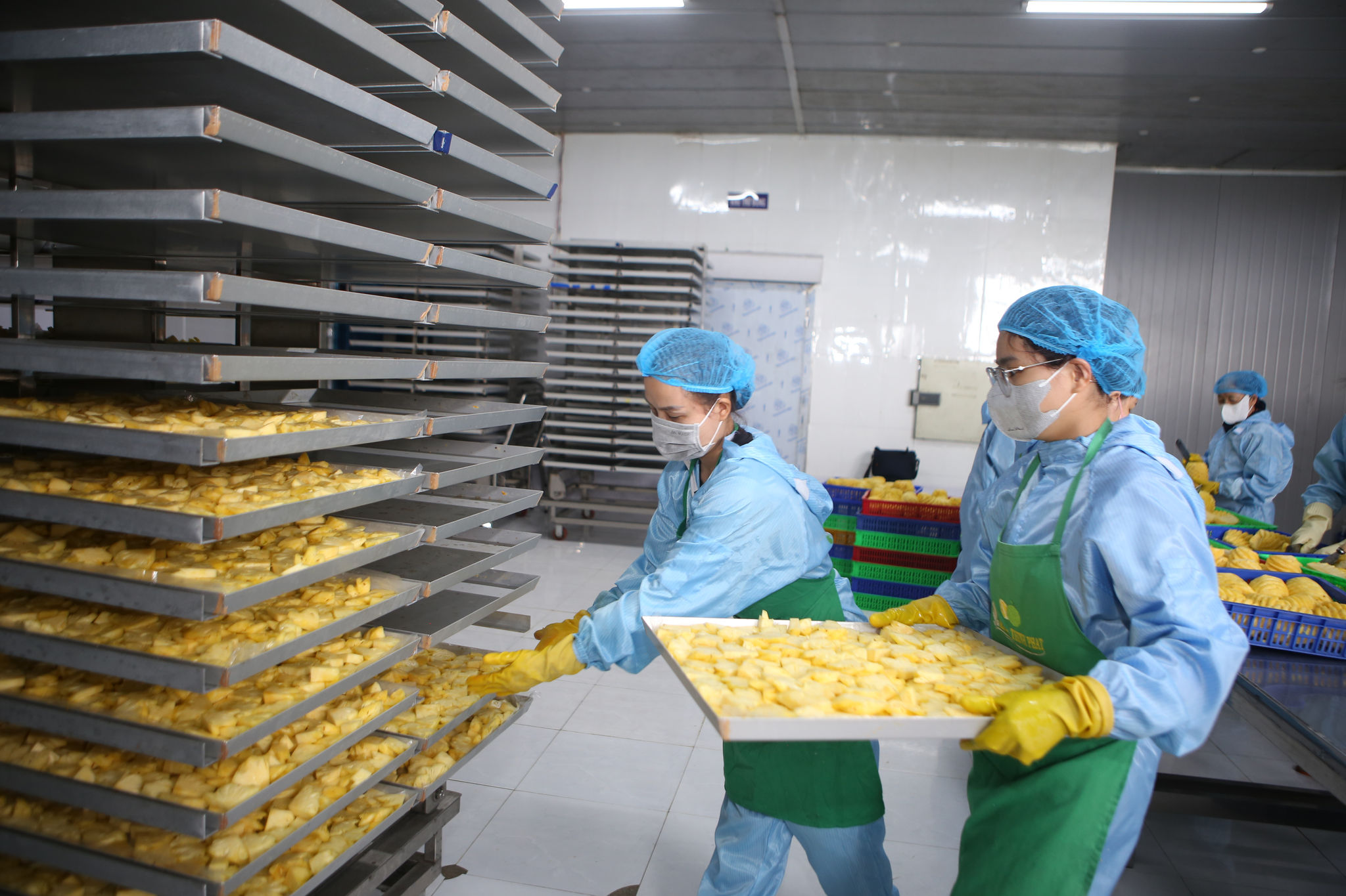 Lâm Đồng: Nông sản Lâm Đồng cần “lá chắn” phòng vệ thương mại