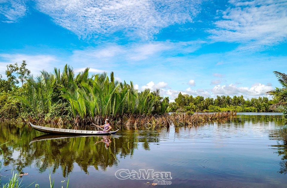Cà Mau: Khám phá sông Cái Tàu