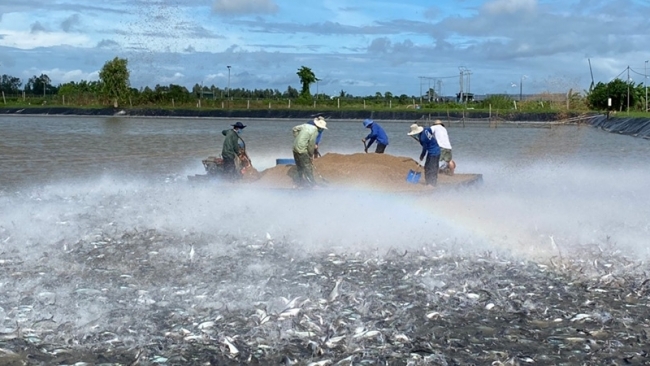 An Giang đẩy mạnh thực hiện các nhóm giải pháp để phục hồi kinh tế