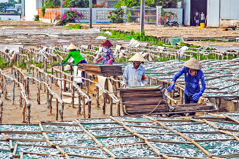 Cà Mau: Chống dịch song hành phục hồi kinh tế