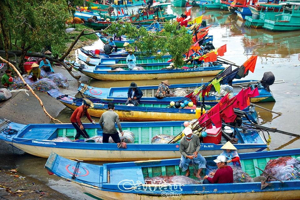 Cà Mau: Bảo vệ đối tượng dễ bị tổn thương