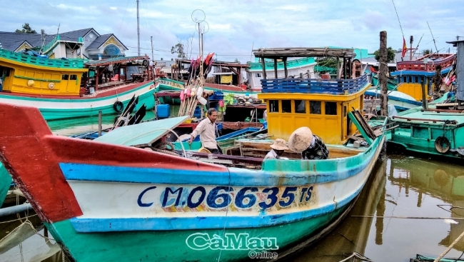 Cà Mau: Chông chênh tàu 67 - Bài cuối: Kỳ vọng của ngư dân