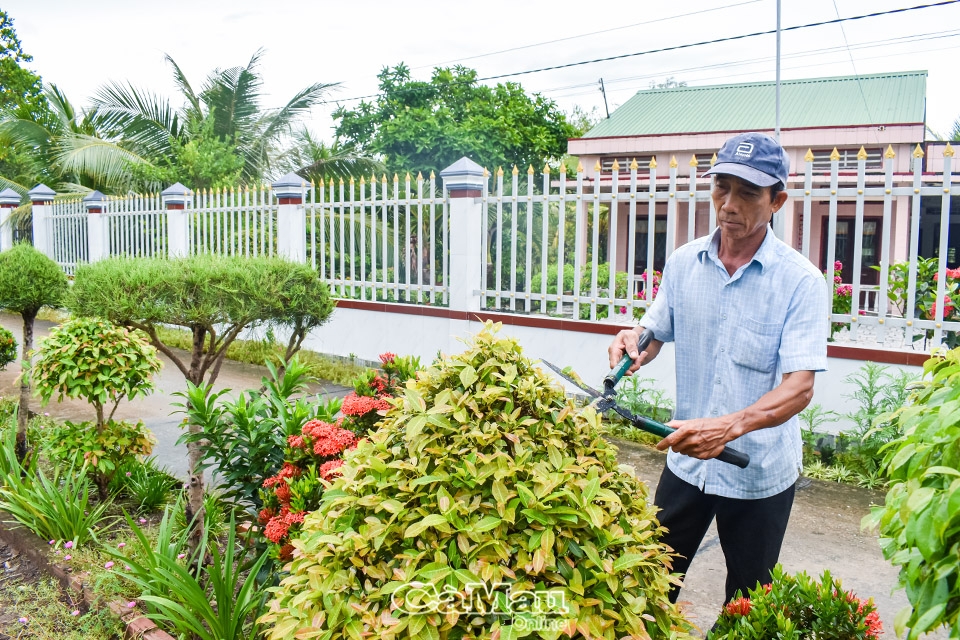 Cà Mau: “Công viên xanh” trên đất mặn