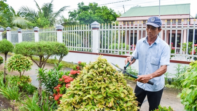 Cà Mau: “Công viên xanh” trên đất mặn