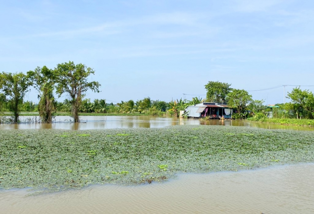 An Giang: Trải nghiệm mùa nước nổi ở Vàm Nao
