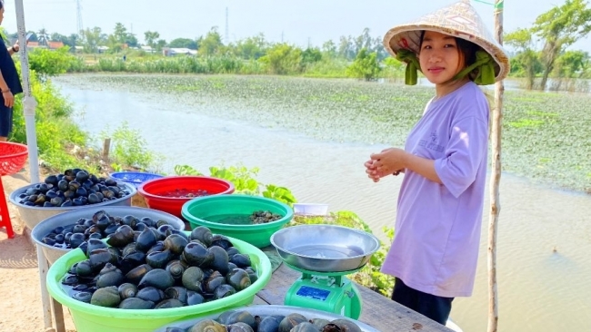 An Giang: Trải nghiệm mùa nước nổi ở Vàm Nao