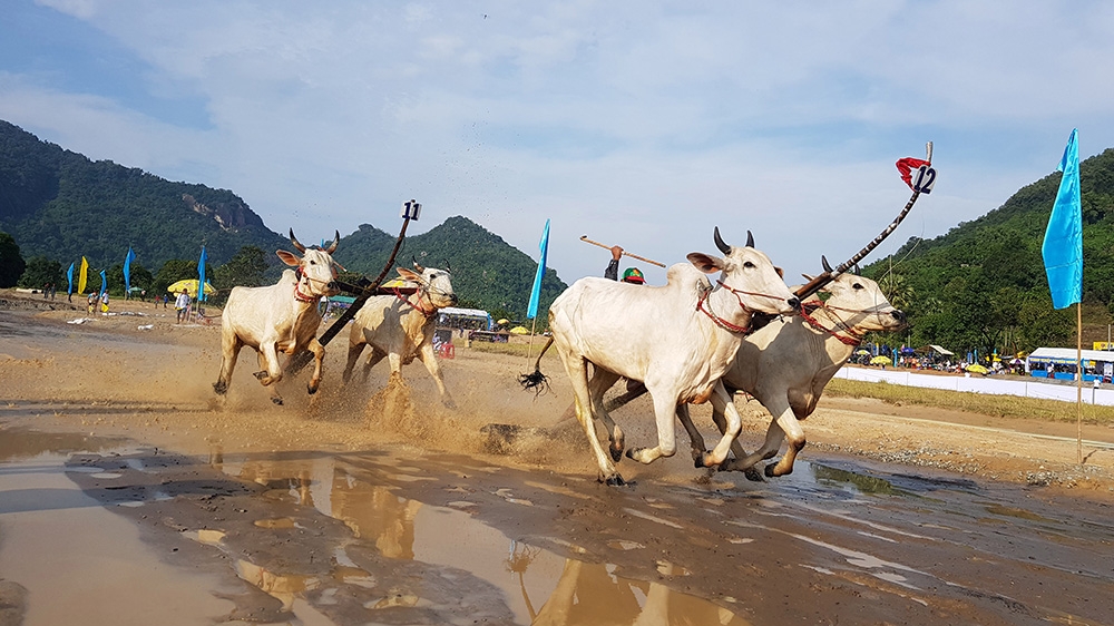 An Giang: Lần đầu tiên tổ chức đua môtô địa hình ở vùng Bảy Núi