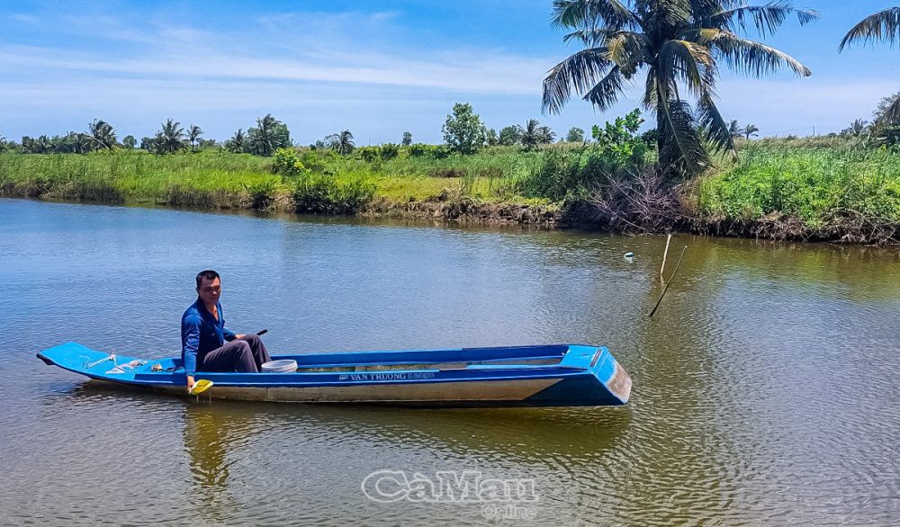 Cà Mau: Nuôi tôm quảng canh 2 giai đoạn thích ứng El Nino