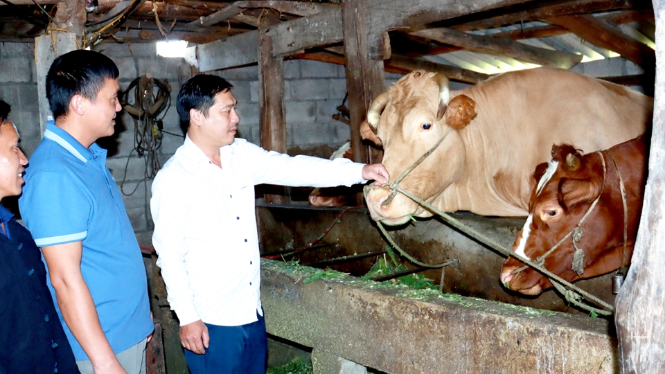 Hà Giang: Tả Lủng quyết tâm giảm nghèo