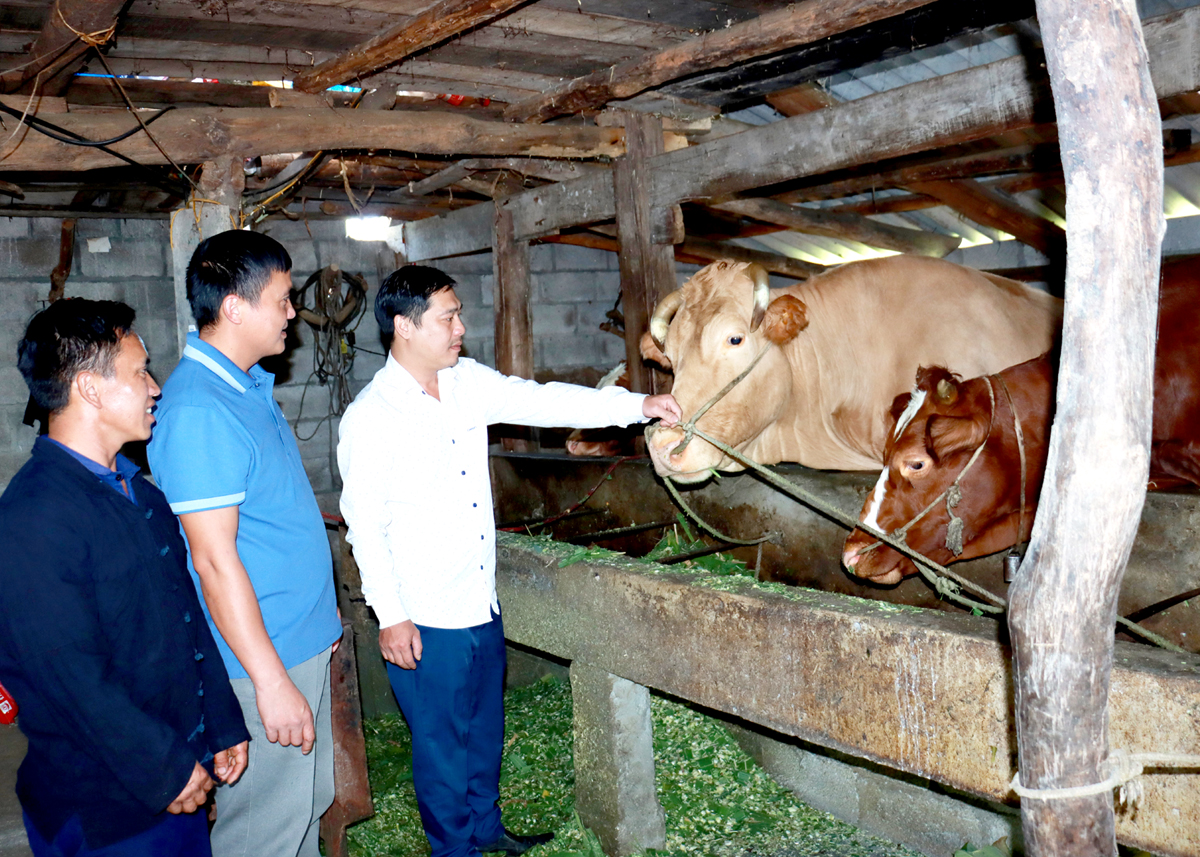 Hà Giang: Tả Lủng quyết tâm giảm nghèo