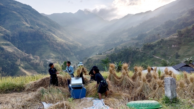 Hà Giang: Đi qua những mùa vàng