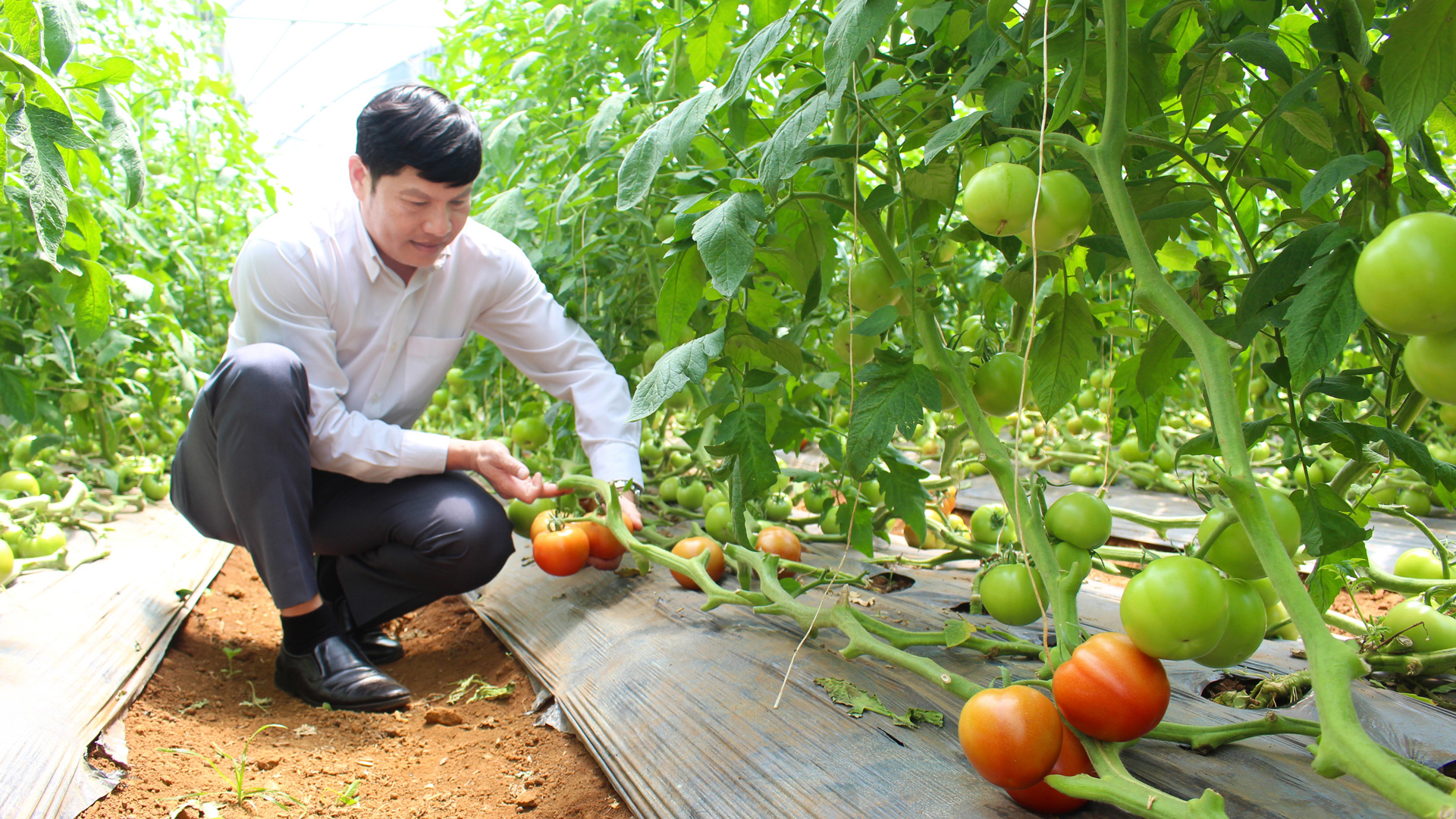 Lâm Đồng: Điểm đến khám phá khoa học và công nghệ độc đáo, hấp dẫn