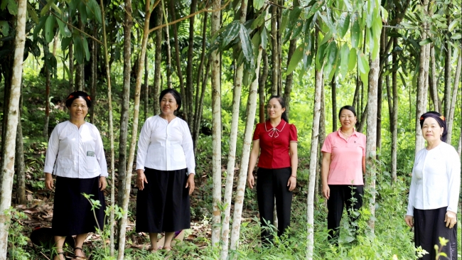 Hà Giang: Phụ nữ sáng tạo hòa cùng nhịp sống hiện đại