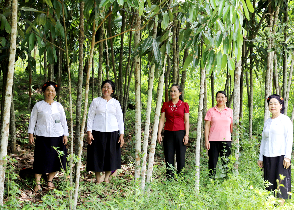 Hà Giang: Phụ nữ sáng tạo hòa cùng nhịp sống hiện đại