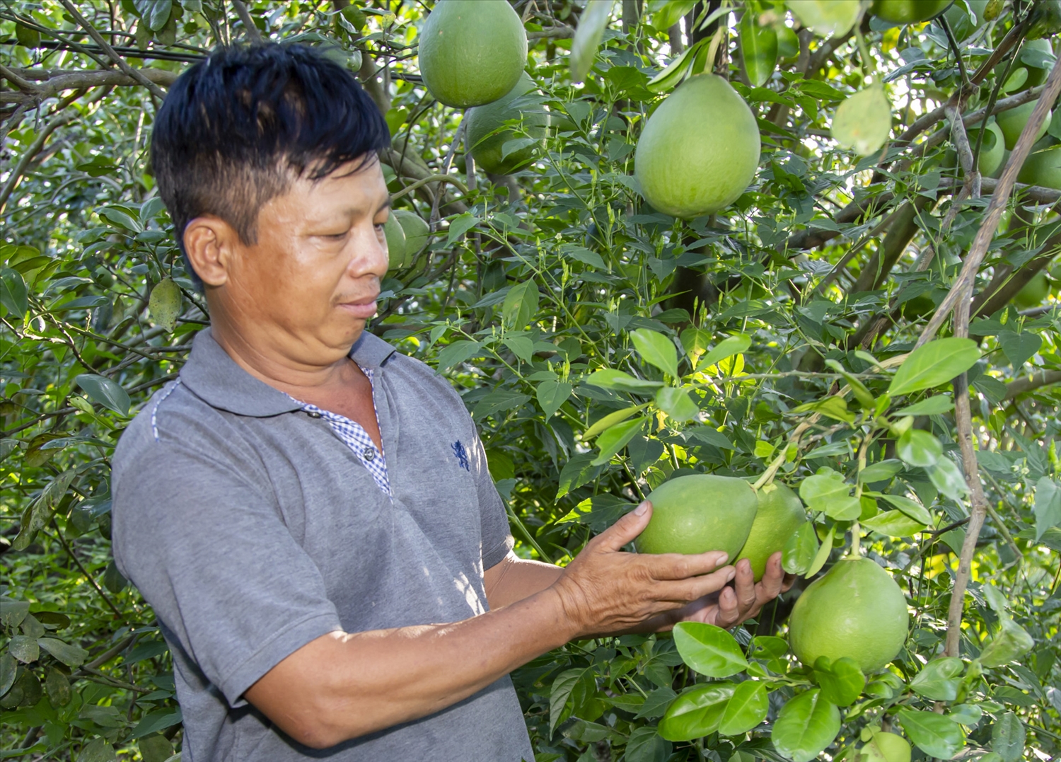 "Khoác" diện mạo mới cho vùng miền núi Khánh Hòa