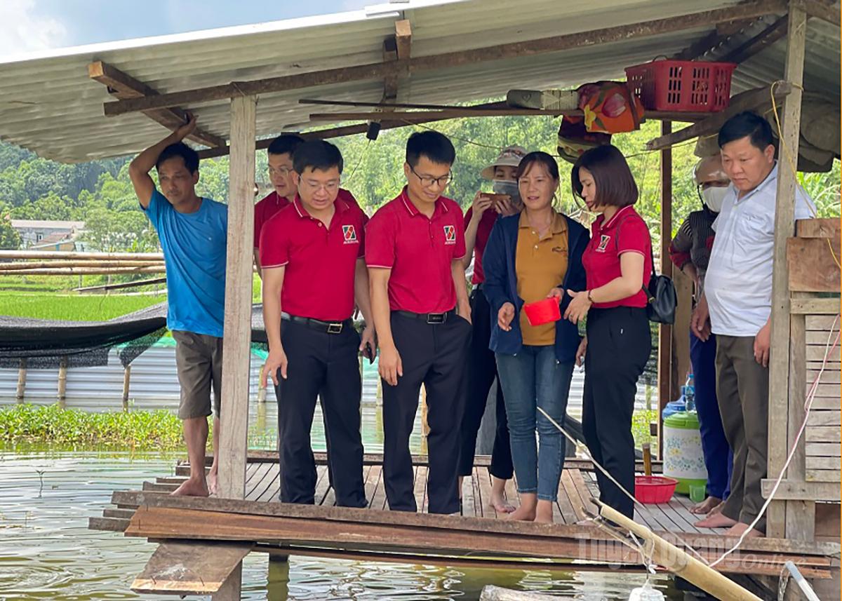 Tuyên Quang: Phát triển tín dụng xanh