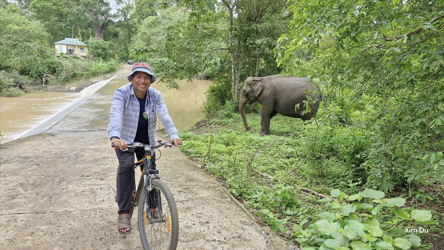Chàng trai M’nông khởi dựng mô hình du lịch cộng đồng bên voi