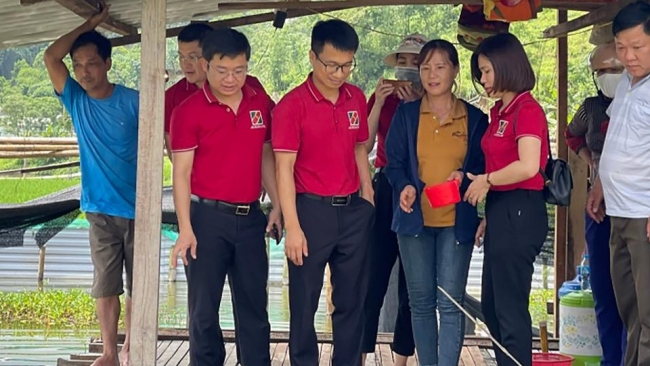 Tuyên Quang: Phát triển tín dụng xanh