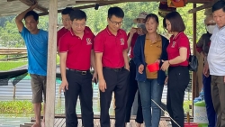 Tuyên Quang: Phát triển tín dụng xanh