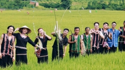 Chàng trai M’nông khởi dựng mô hình du lịch cộng đồng bên voi