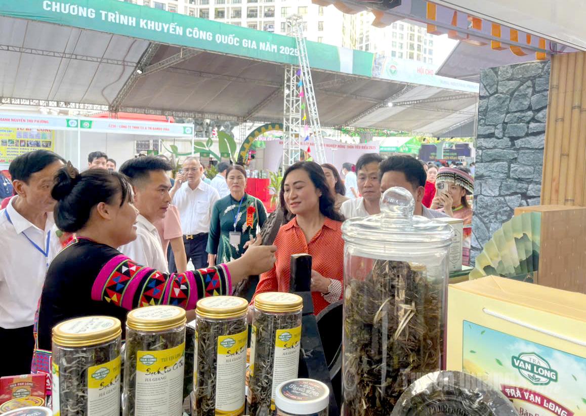 Tuyên Quang tham gia Hội chợ triển lãm hàng công nghiệp nông thôn năm 2025