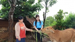Lâm Đồng:Tiếp sức cho phụ nữ nghèo vươn lên