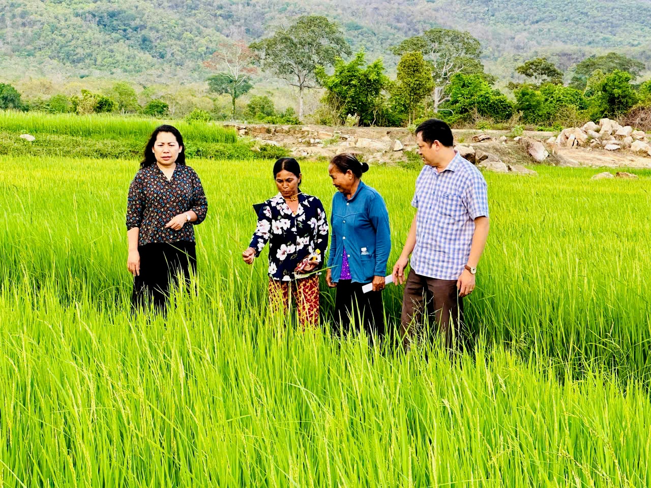 Lâm Đồng: Động lực để đồng bào vươn lên