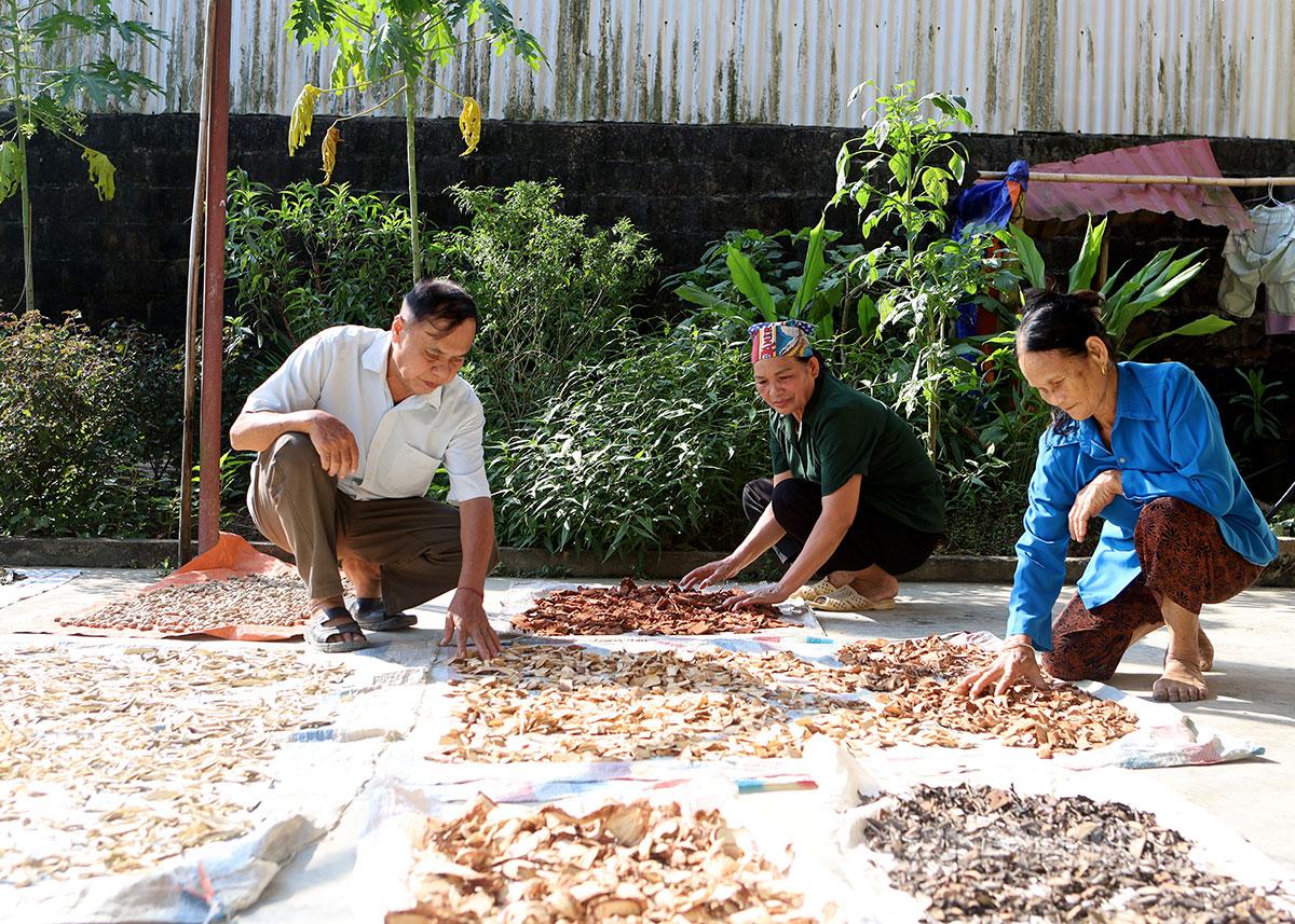Tuyên Quang: Chuyện ở làng Thuốc Hạ