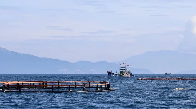Khánh Hòa: Đẩy mạnh thông tin, tuyên truyền về chống khai thác IUU