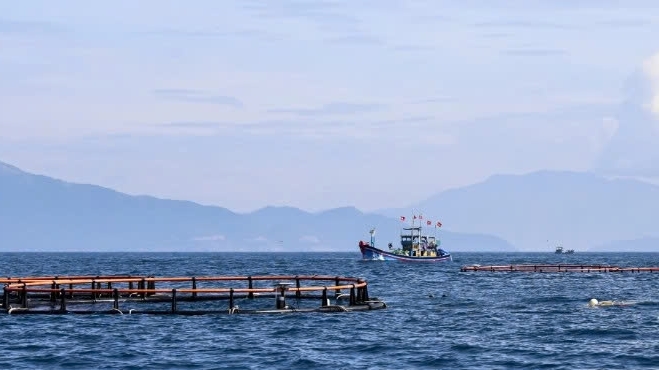 Khánh Hòa: Đẩy mạnh thông tin, tuyên truyền về chống khai thác IUU